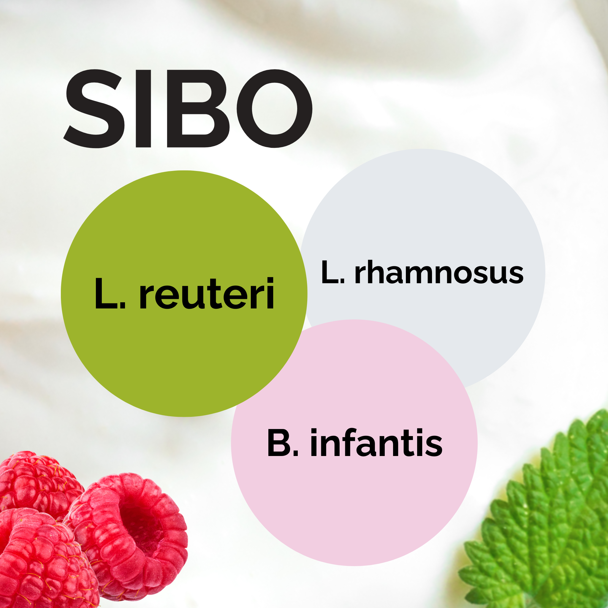 L. reuteri + L. rhamnosus + B. infantis | Σετ Εκκίνησης Γιαούρτι | SIBO | Εκκινητικές Καλλιέργειες | Πακέτο 3 τεμαχίων