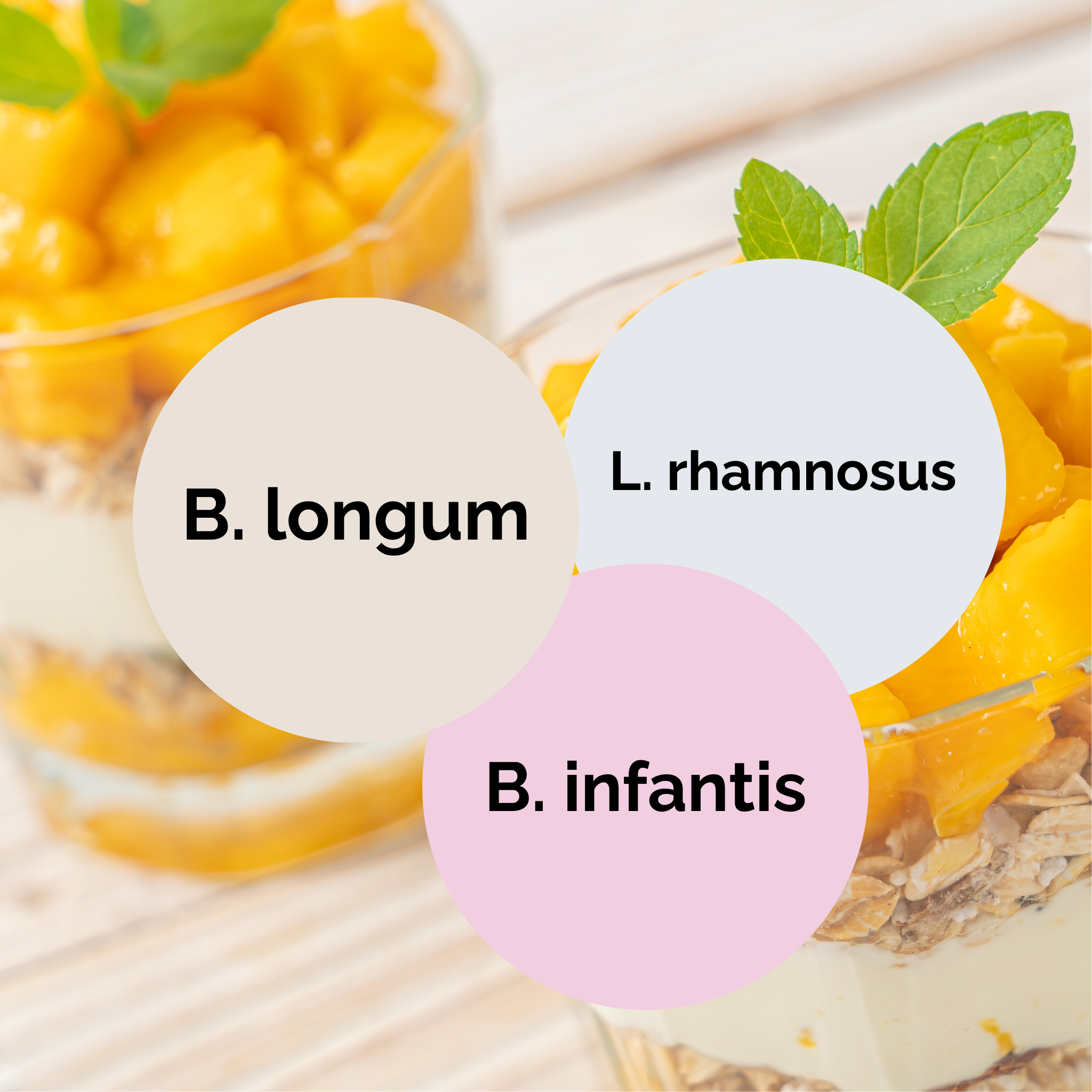 L. rhamnosus + B. infantis + B. longum | Σετ Εκκίνησης Γιαούρτι | Εκκινητικές Καλλιέργειες | Πακέτο 3 τεμαχίων