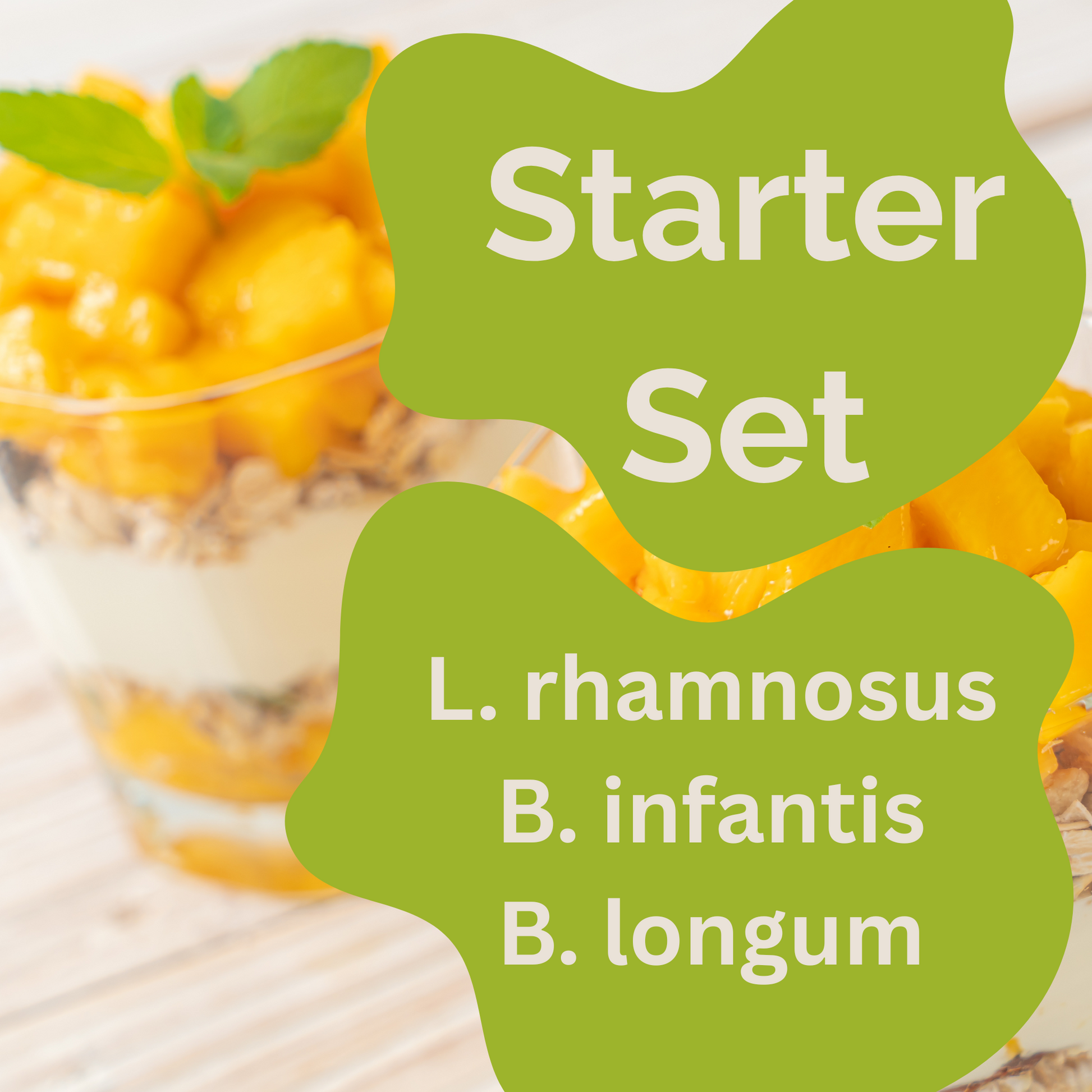 Starter-Set „Allergo Gut" | L. rhamnosus, B. infantis, B. longum-Joghurt