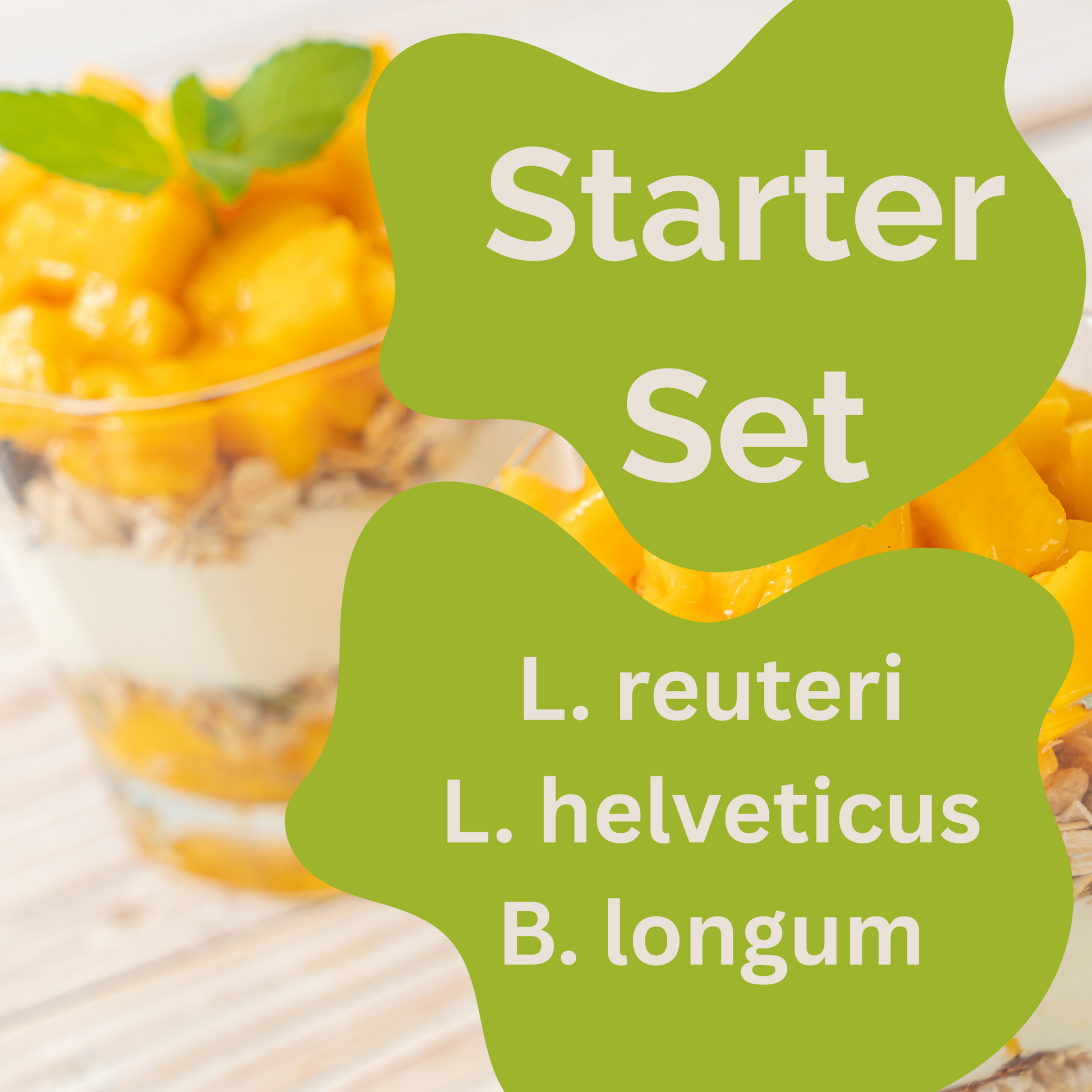 Starter-Set „Calm Gut" | L. reuteri, L. helveticus, B. longum-Joghurt