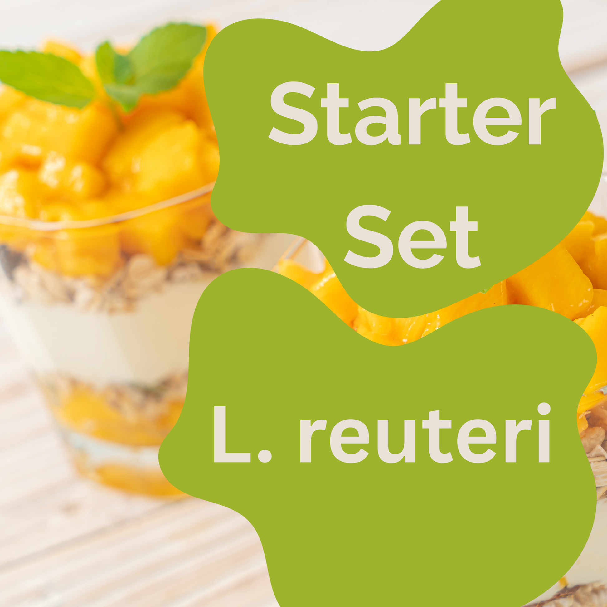 Starter-Set L. reuteri-Joghurt