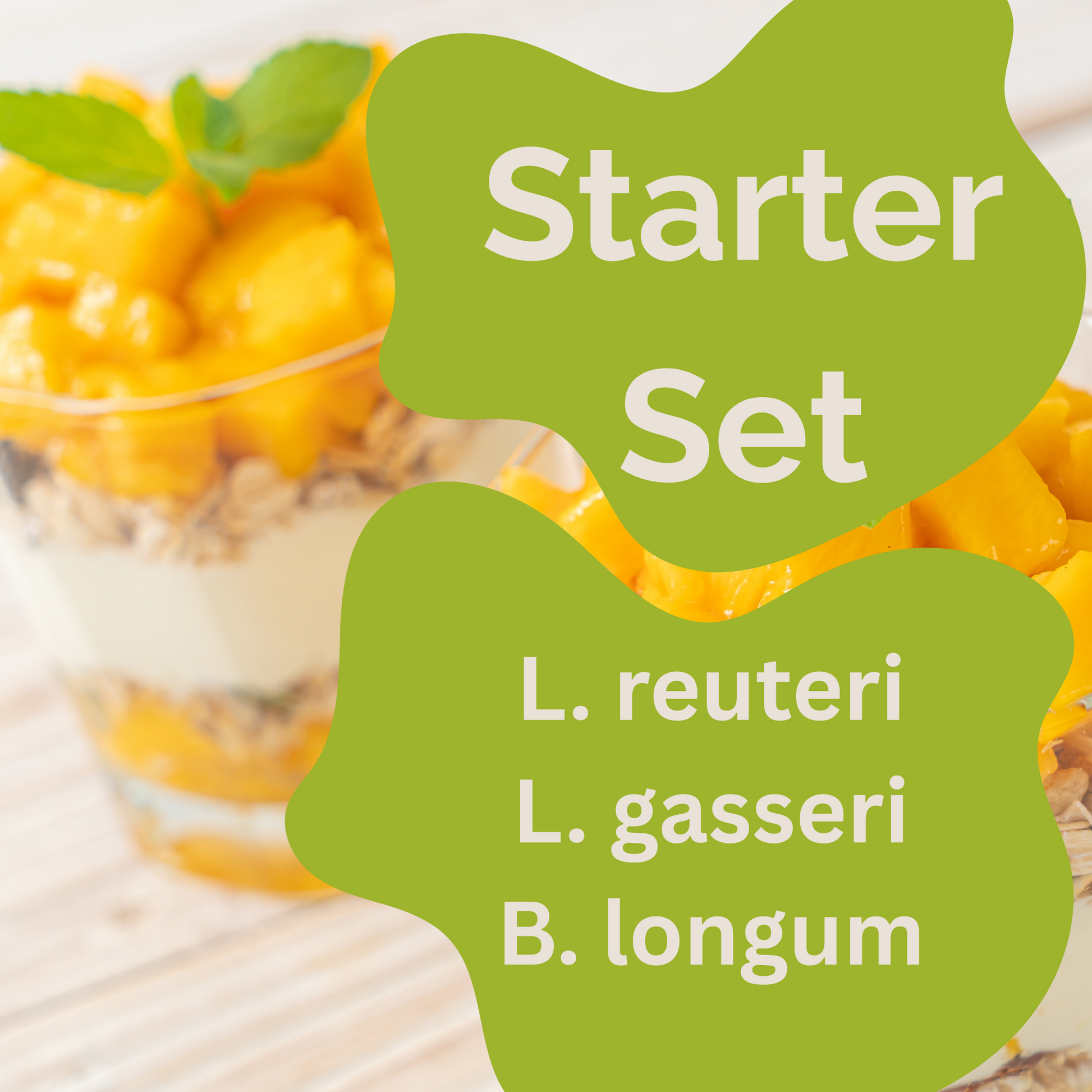 Starter-Set „Slim Gut" | L. reuteri, L. gasseri, B. longum-Joghurt